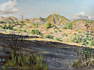 pastel sobre papel Pastelmat, 40 x 30 cm.